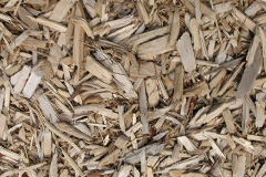 biomass boilers Rosedinnick