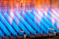 Rosedinnick gas fired boilers